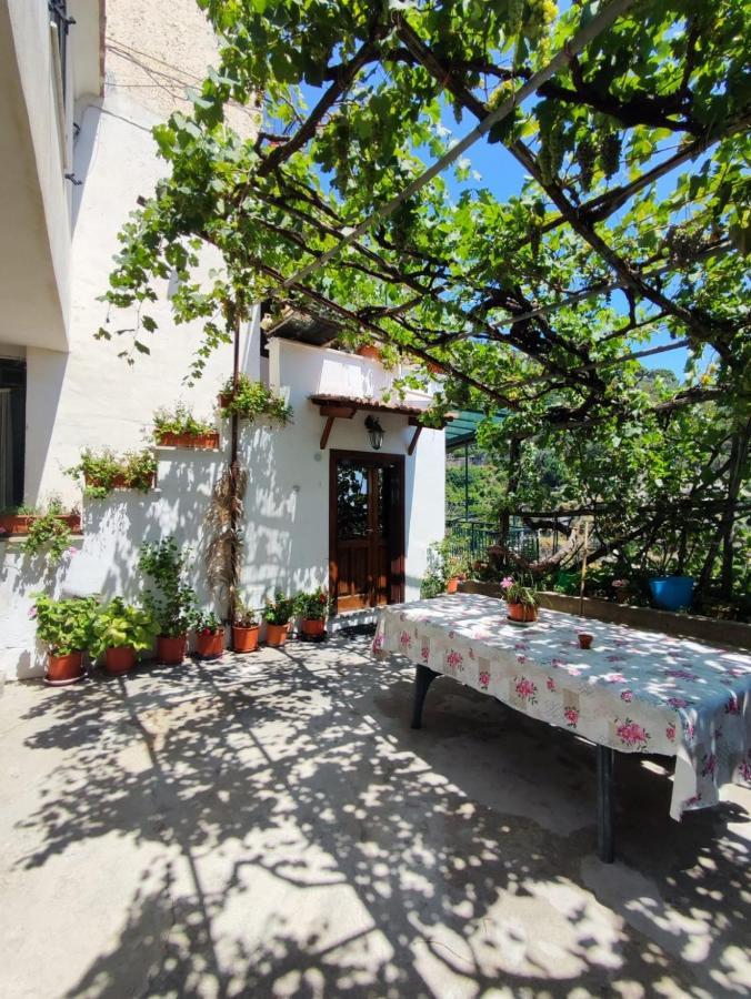 Apartamento Eden Tra I Limoni Minori Exterior foto