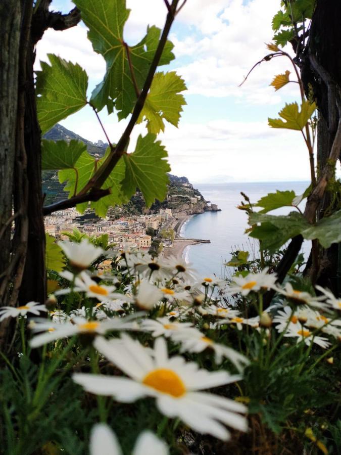 Apartamento Eden Tra I Limoni Minori Exterior foto
